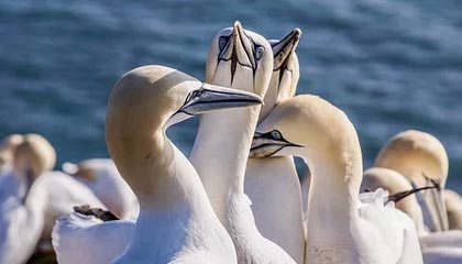 男子多次用指纹解开邻居智能门锁，“没有盗窃，还睡了一觉”