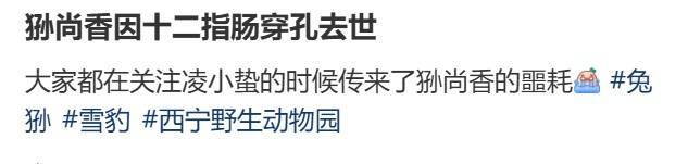 官方确认！“一家三口”先后去世，网友：为什么这么难