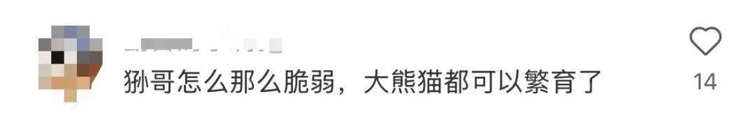 官方确认！“一家三口”先后去世，网友：为什么这么难