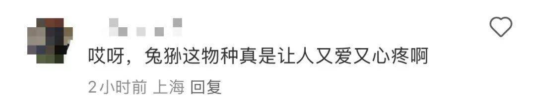 官方确认！“一家三口”先后去世，网友：为什么这么难
