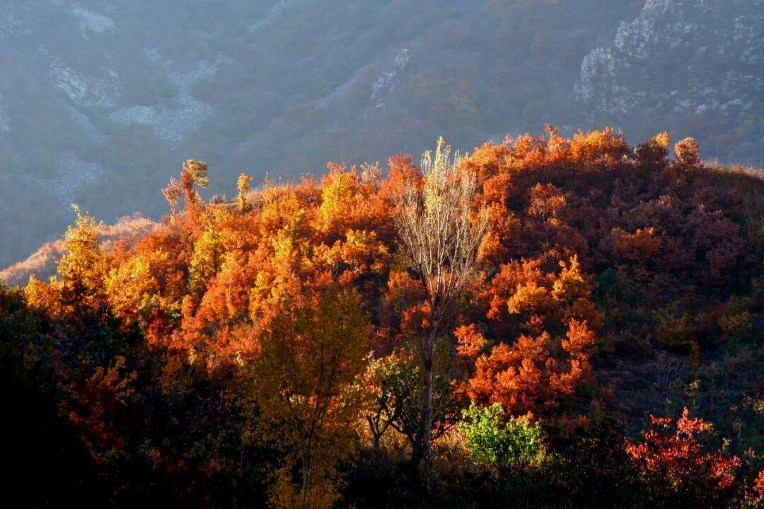 卷了一周的北京白领，周末扎进天津县城