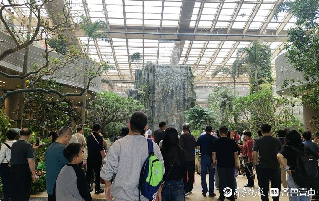 活力起步|从狮城到泉城,鹊山生态文化区凭“南洋风”成文旅黑马