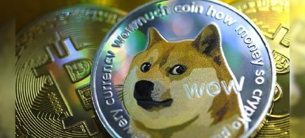 狗狗币长期(狗狗币长时间不到账怎么解决)