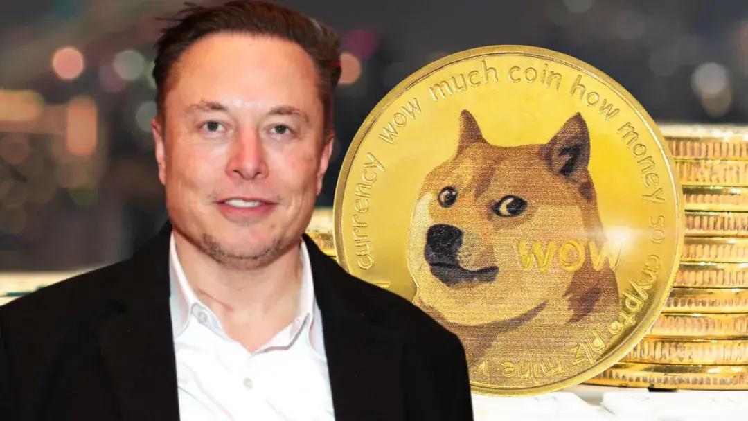 狗狗币是合法的吗(狗狗币doge合法吗)