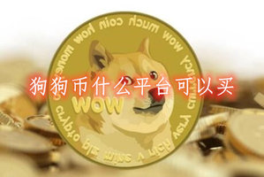 狗狗币怎么样买(狗狗币的购买方法)
