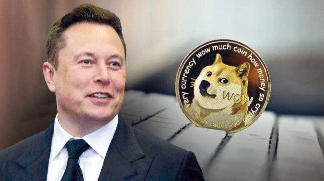 狗狗币哪里可以买到(狗狗币哪里可以买到呢)