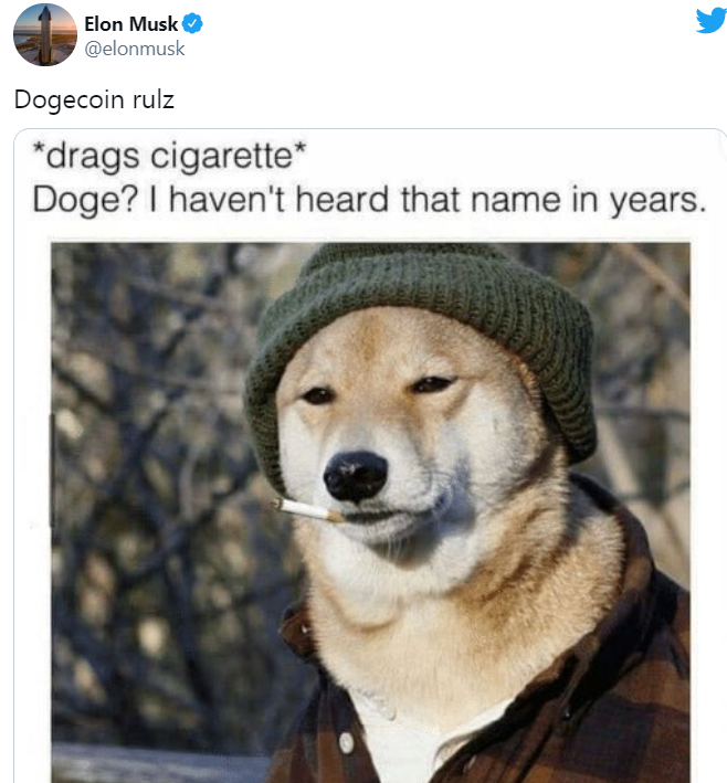 包含dogking跟狗狗币是一个东西么的词条