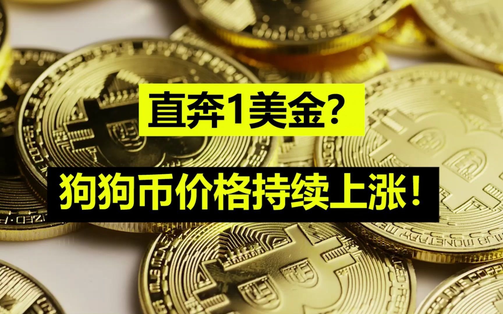 包含火币网狗狗币的词条