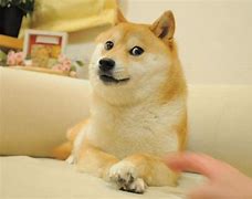 狗狗币交易软件(正规狗狗币交易软件)