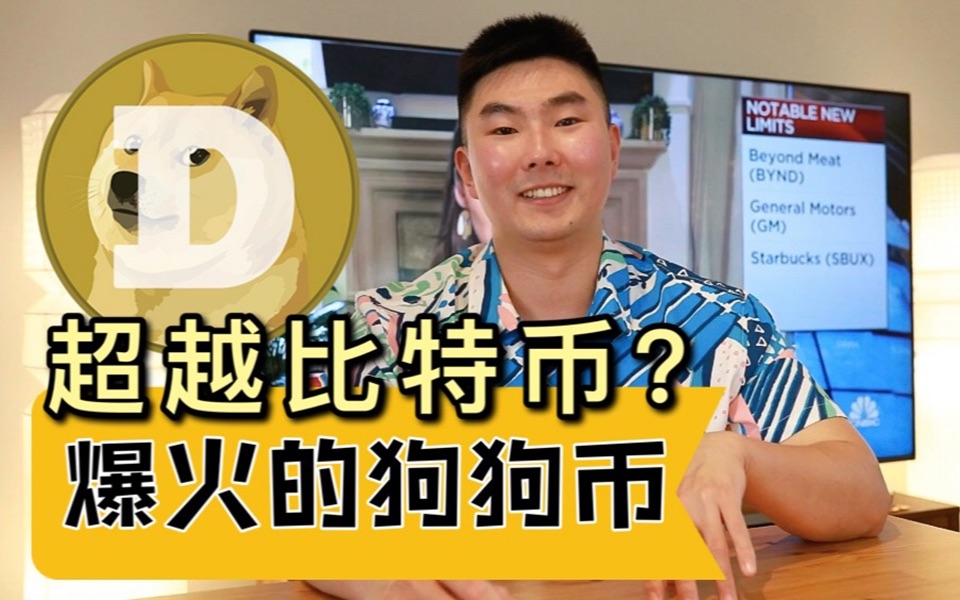 狗狗币是什么样子的的简单介绍