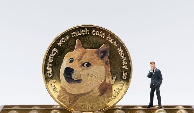 狗狗币卖出后回到帐上(狗狗币卖出后回到帐上还能用吗)