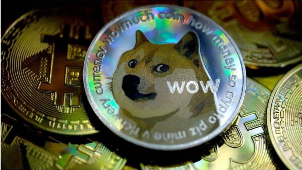 狗狗币监控(狗狗币实时监控)