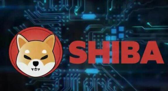 狗狗币钱包备份(狗狗币钱包怎么转出)