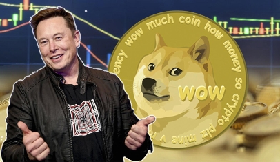 包含多人买狗狗币被查封的词条