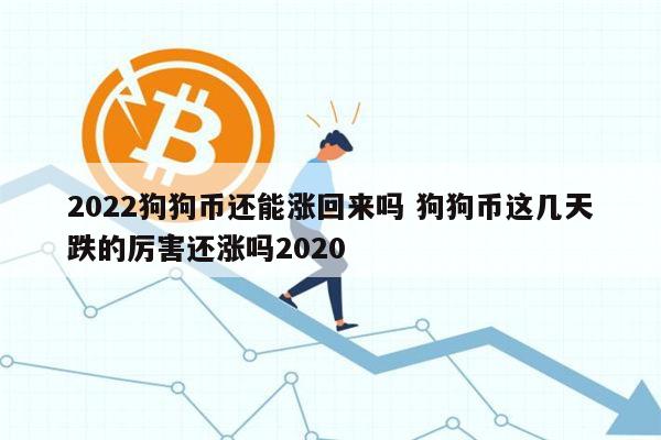 未来狗狗币会涨到多少(狗狗币未来2025价格)