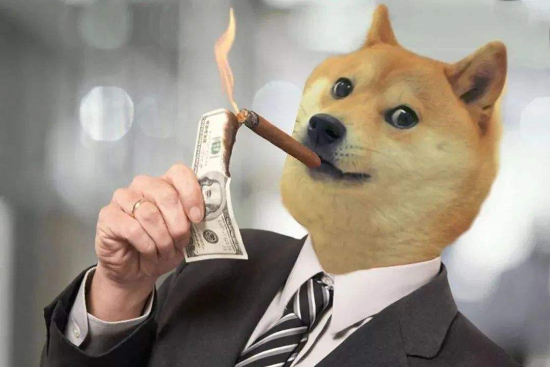 用usdt买狗狗币(有了usdt怎么买狗狗币)