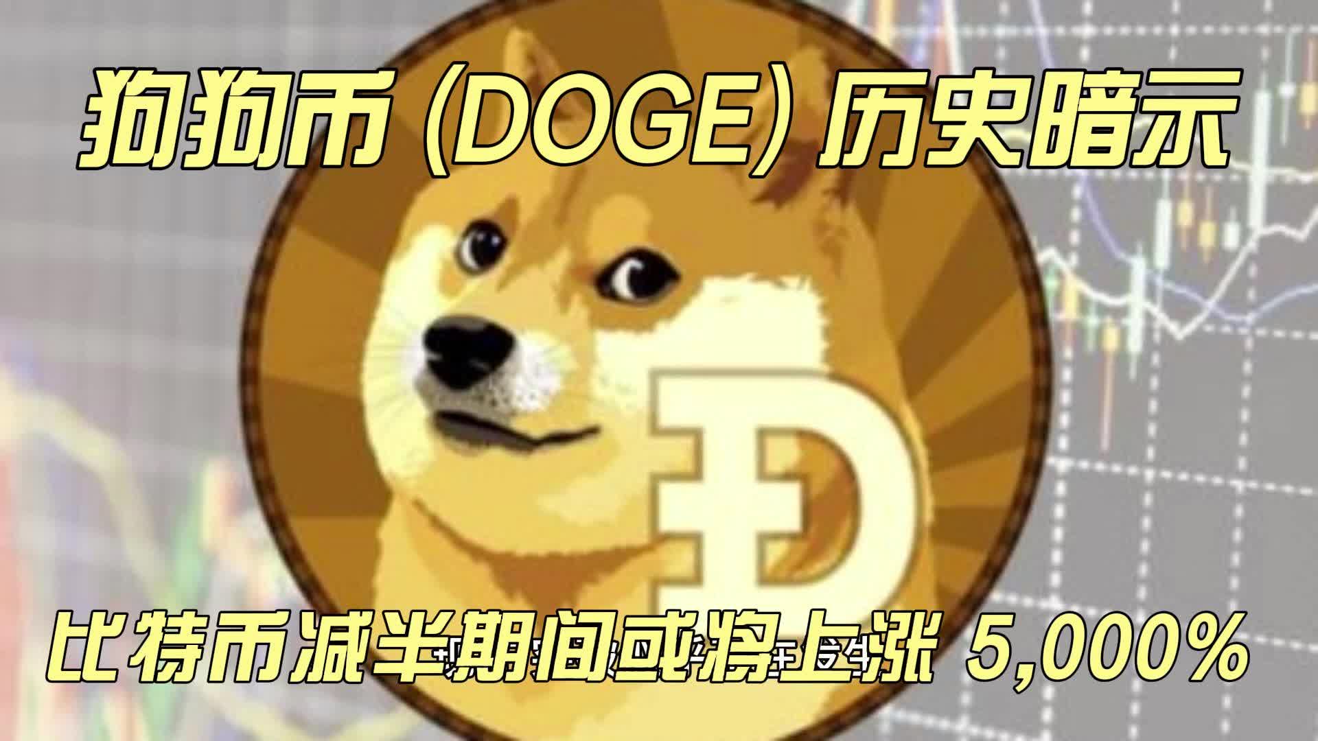 狗狗币涨几倍(狗狗币涨200倍)