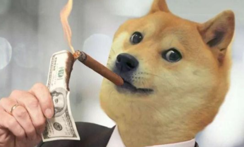 狗狗币今天你要嫁给我(今天你要嫁给我酷狗在线听)
