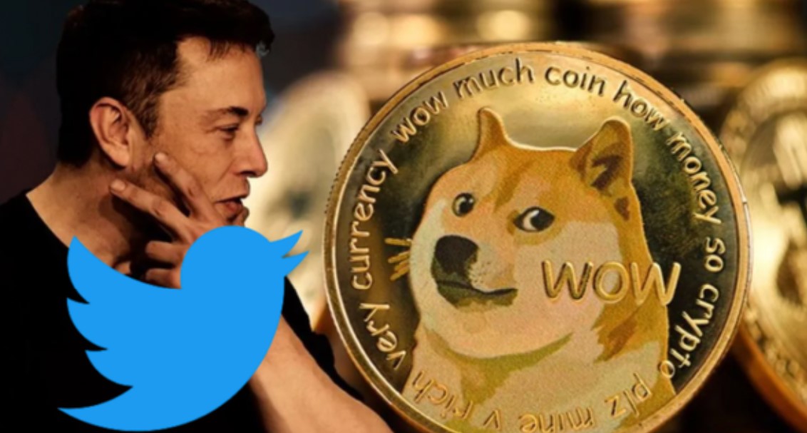 狗狗币兑换美金多少钱(狗狗币兑换美金多少钱一张)