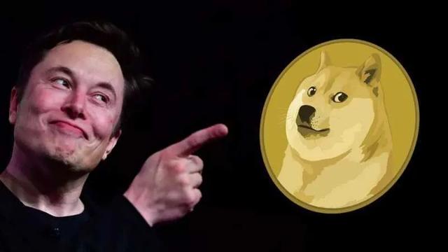 狗狗币升值潜力(狗狗币这几年升值了多少倍)