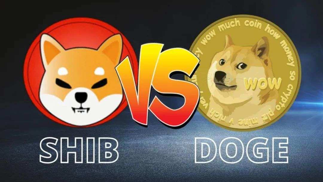 比特币和狗狗币(比特币和狗狗币哪个好)
