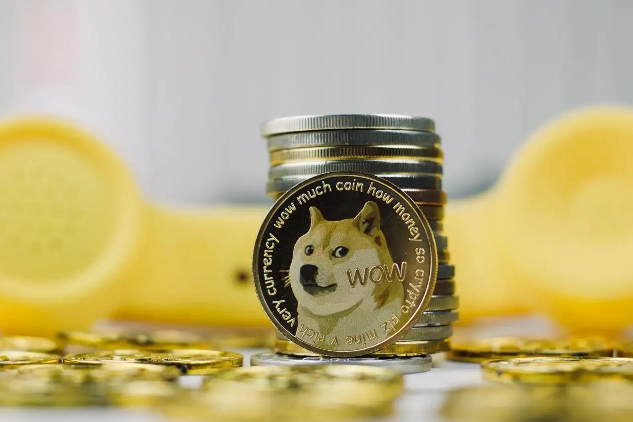 狗狗币价格最低(狗狗币最便宜的时候多少钱)