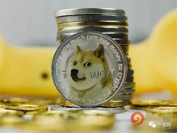 狗狗币遇见狗年(年初狗狗币价格)