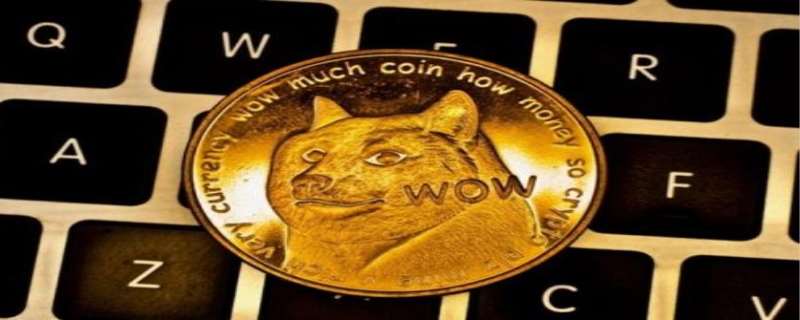 狗狗币30个(如何知道狗狗认了主人)