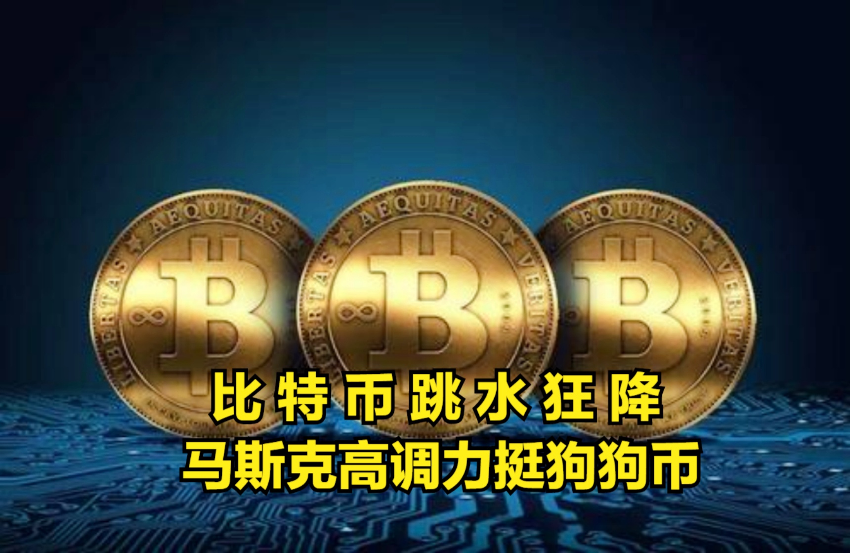 狗狗币怎么玩的(狗狗最喜欢玩什么)
