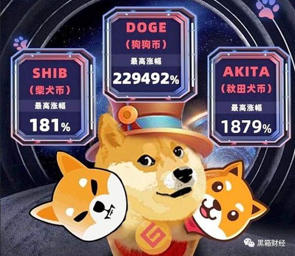 推特跟狗狗币有什么关系(推特跟狗狗币有什么关系吗)