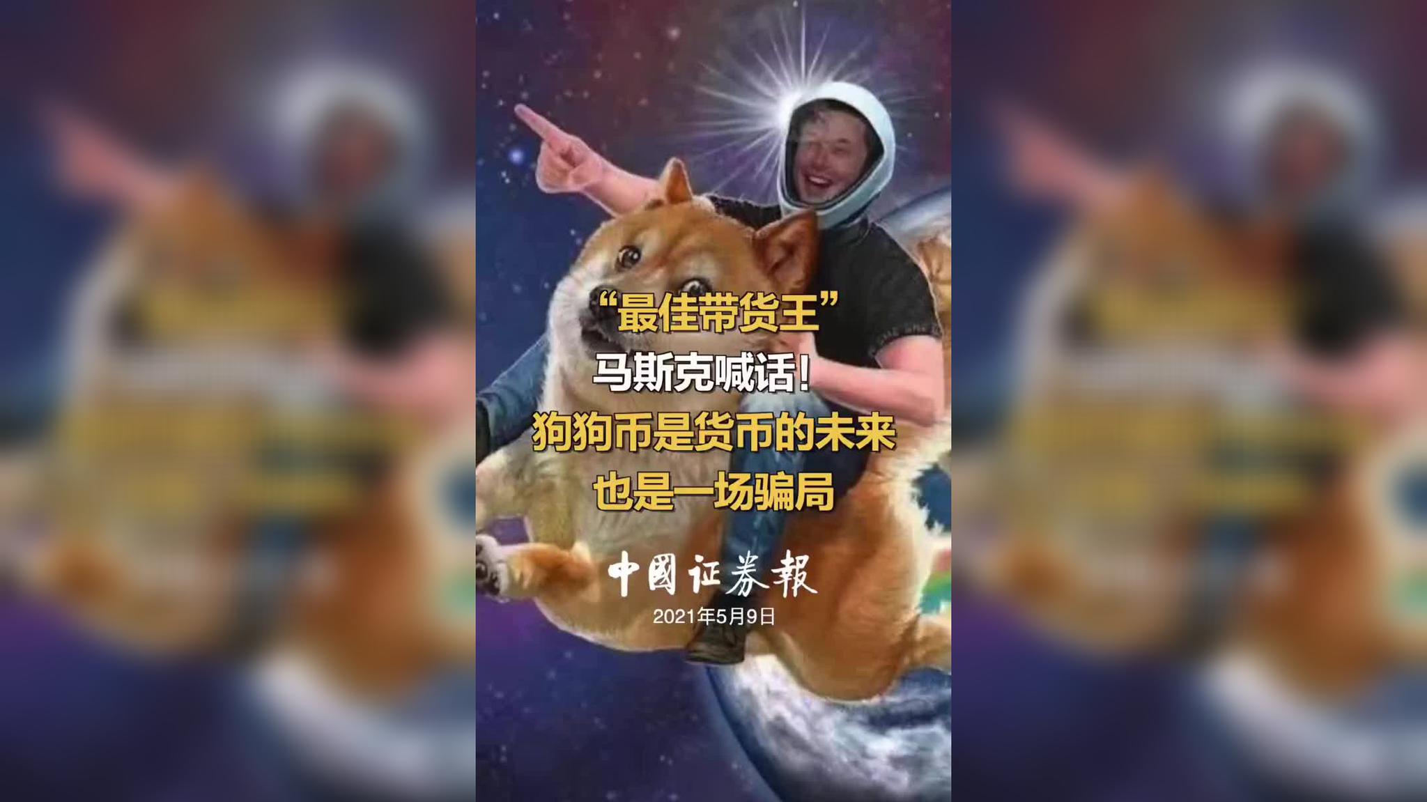 狗狗币下跌的原因(狗狗币下跌会爆仓吗)
