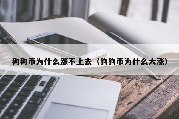 狗狗币下跌的原因(狗狗币下跌会爆仓吗)
