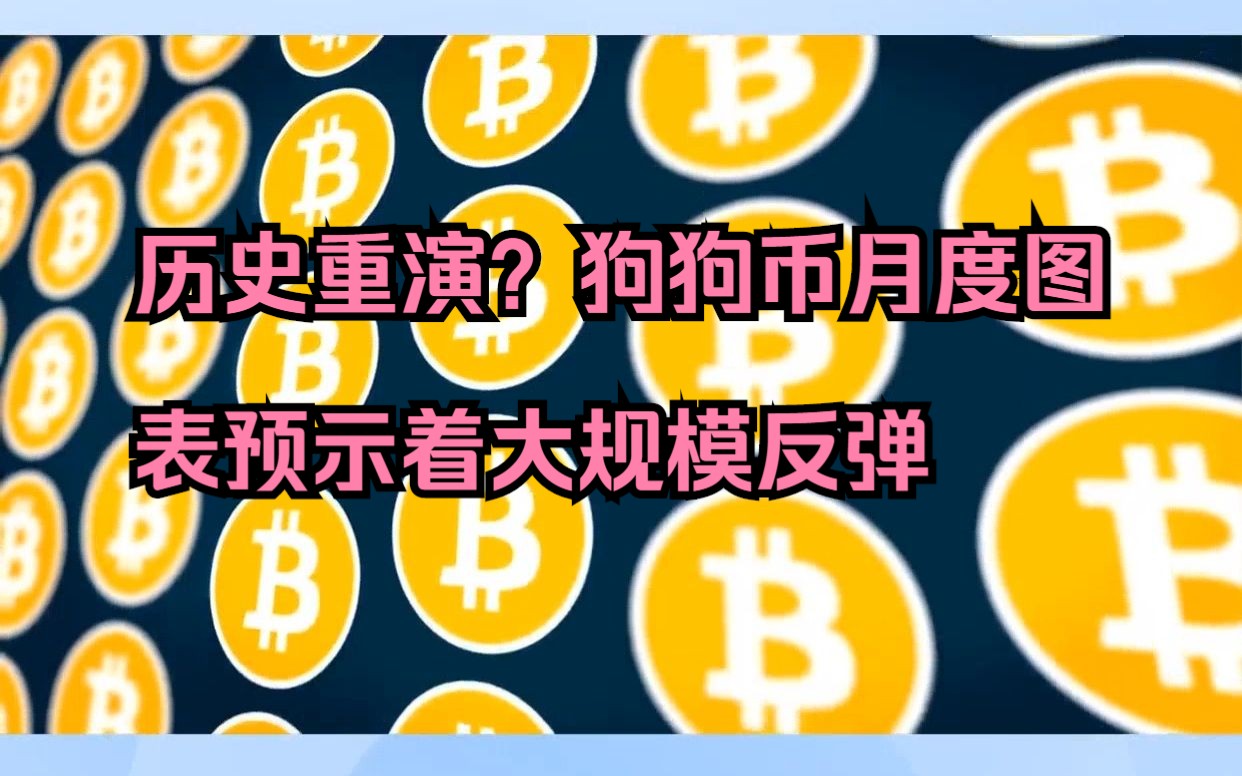 狗狗币历史最高价格(狗狗币历史最高价格是多少钱一枚)