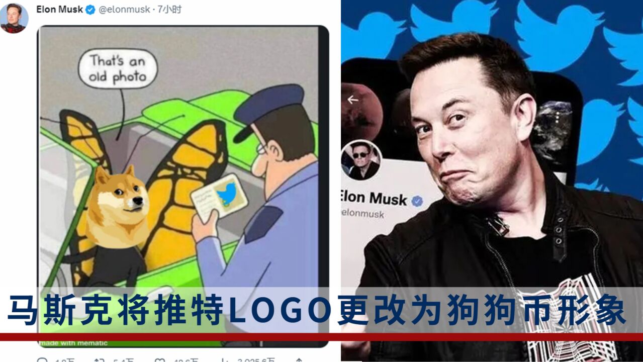 马斯克狗狗币支付推特(马斯克推特5月8号狗狗币)