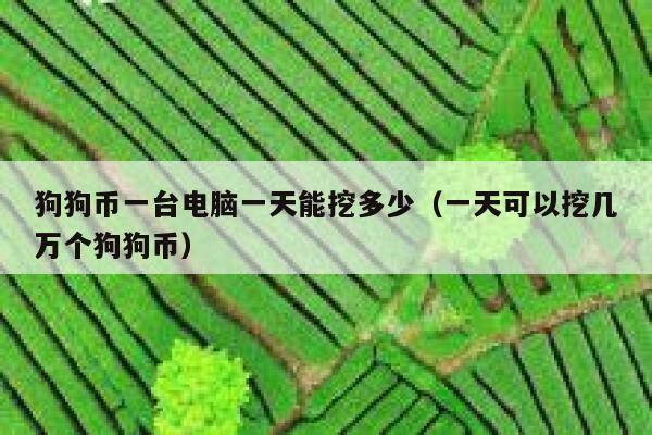 手机怎么挖狗狗币(手机怎么免费挖狗狗币)
