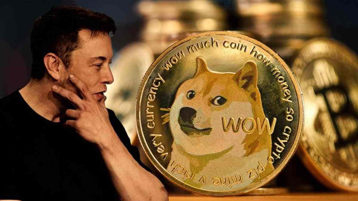马斯克是狗狗币(马斯克狗狗币和柴犬币)