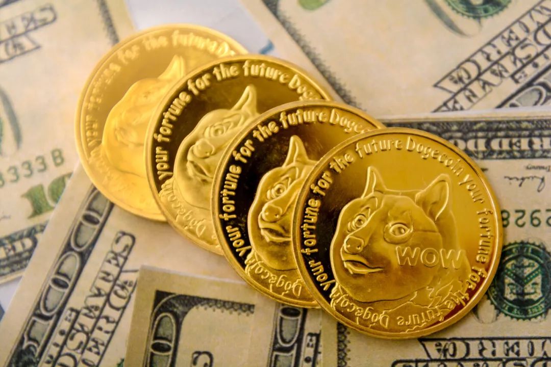 如何把狗狗币放在硬盘(如何把狗狗币转成usdt)