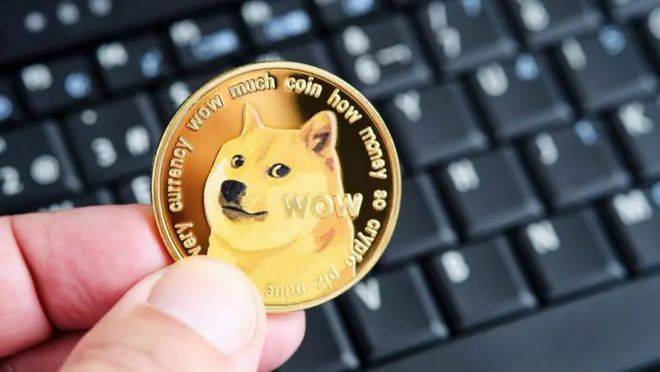 如何把狗狗币放在硬盘(如何把狗狗币转成usdt)