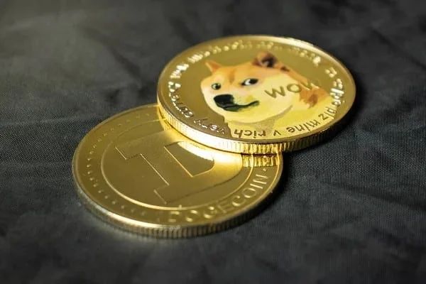 包含狗狗币是什么样子的的词条
