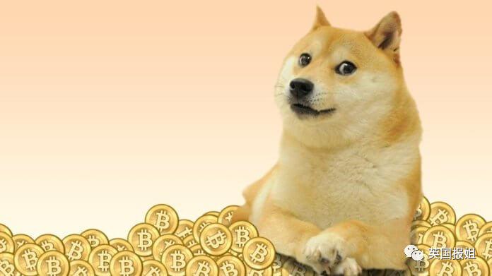 狗狗币去年到现在多少倍(狗狗币这几年升值了多少倍)