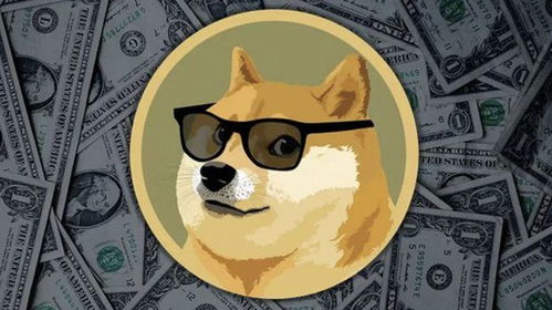 狗狗币下一个十倍币(狗狗币有可能涨1000倍吗)