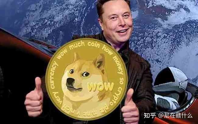 2022狗狗币预测分析(2021年狗狗币未来的升值空间)