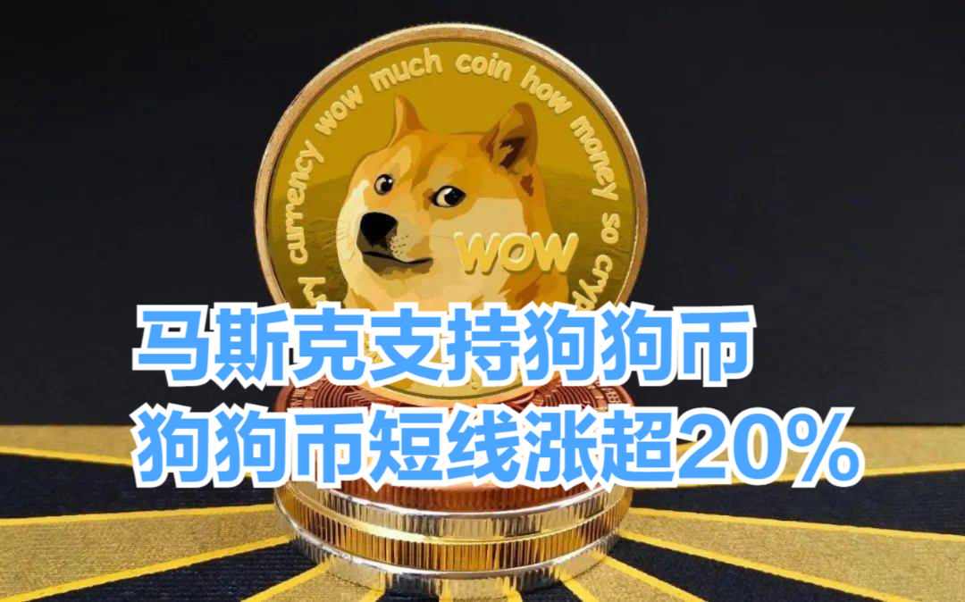 狗狗币没涨之前市值多少(狗狗币为什么涨不上去?未来有投资价值吗?)