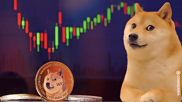 狗狗币有多少个了(狗狗币现在有多少个)