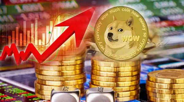 狗狗币去年到现在多少倍(狗狗币去年到今年涨了多少倍)