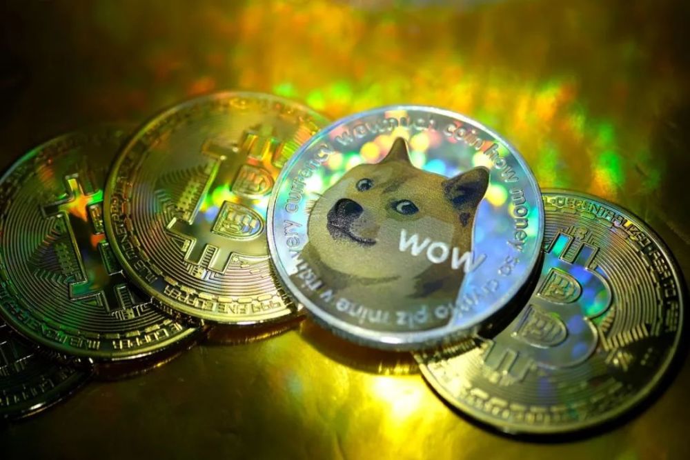 狗狗币价格最低(狗狗币2021最低价)
