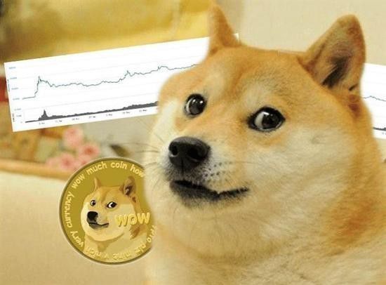 狗狗币多少美金一枚(狗狗币 1000美元)