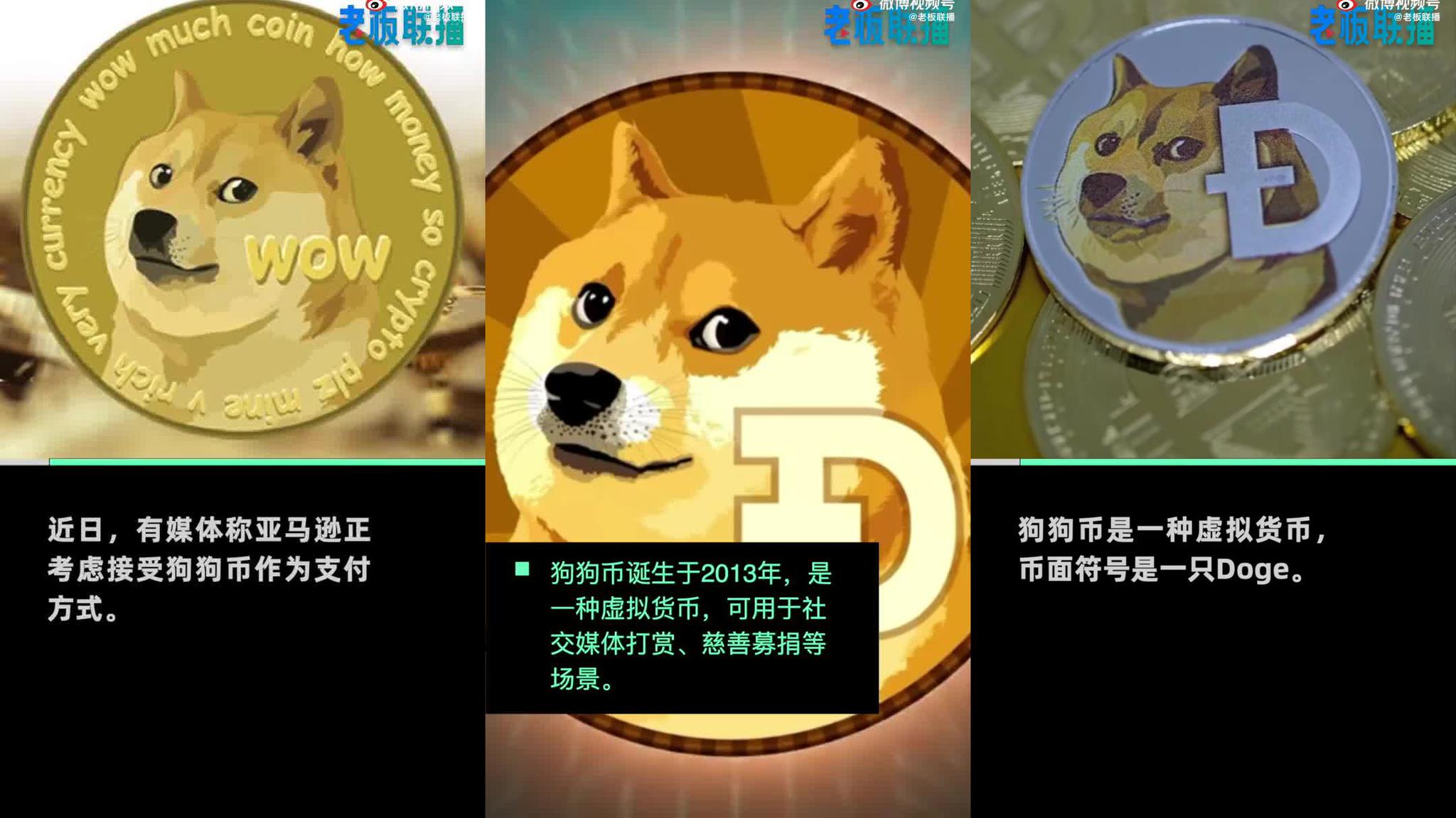 狗狗币钱包app(狗狗币钱包密码忘记了怎么办)