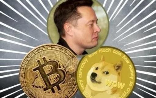 正规狗狗币挖矿(正规狗狗币挖矿多少钱)
