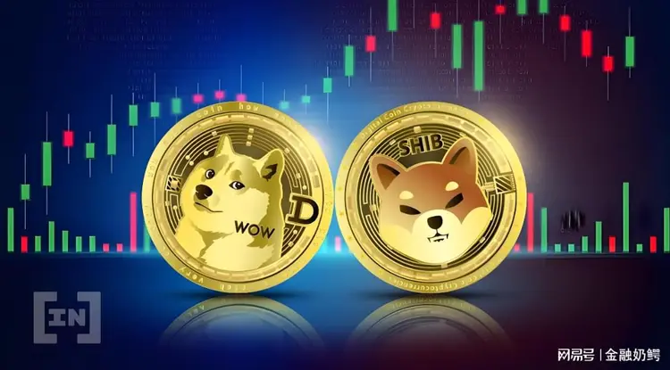 狗狗币下一个十倍币(狗狗币未来能涨一万倍吗)